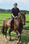Steffan met Caprice B dressuur 2013
